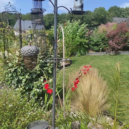 La Petite Goulette * Commes