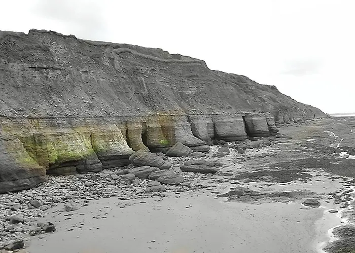 La Petite Goulette Commes